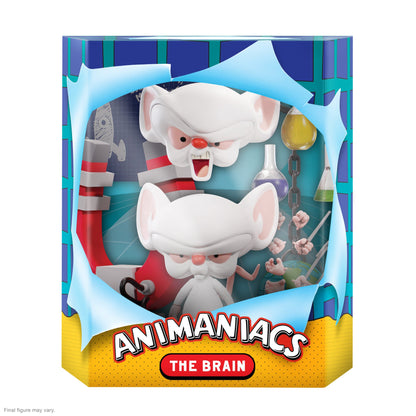 Animaniacs ULTIMATES! Wave 1 The Brain Figure - Super7