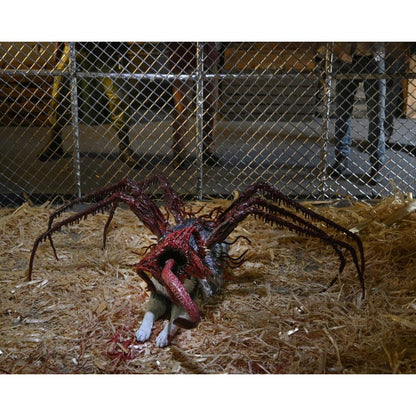 The Thing 1982 Ultimate Dog Creature Set - NECA