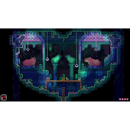 Animal Well Collector's Edition - Nintendo Switch - Limited Run Games #234