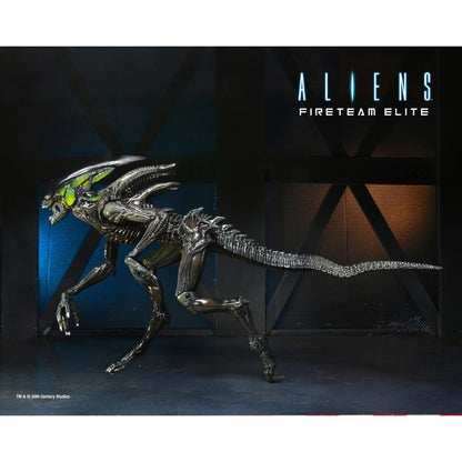 Aliens: Fireteam Elite Spitter Alien Action Figure - NECA