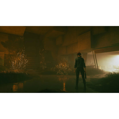 Control - PlayStation 4 - 505 Games
