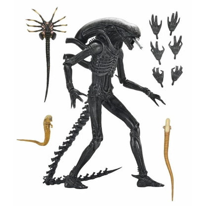 Alien: Romulus Ultimate XX121 Xenomorph Action Figure - NECA