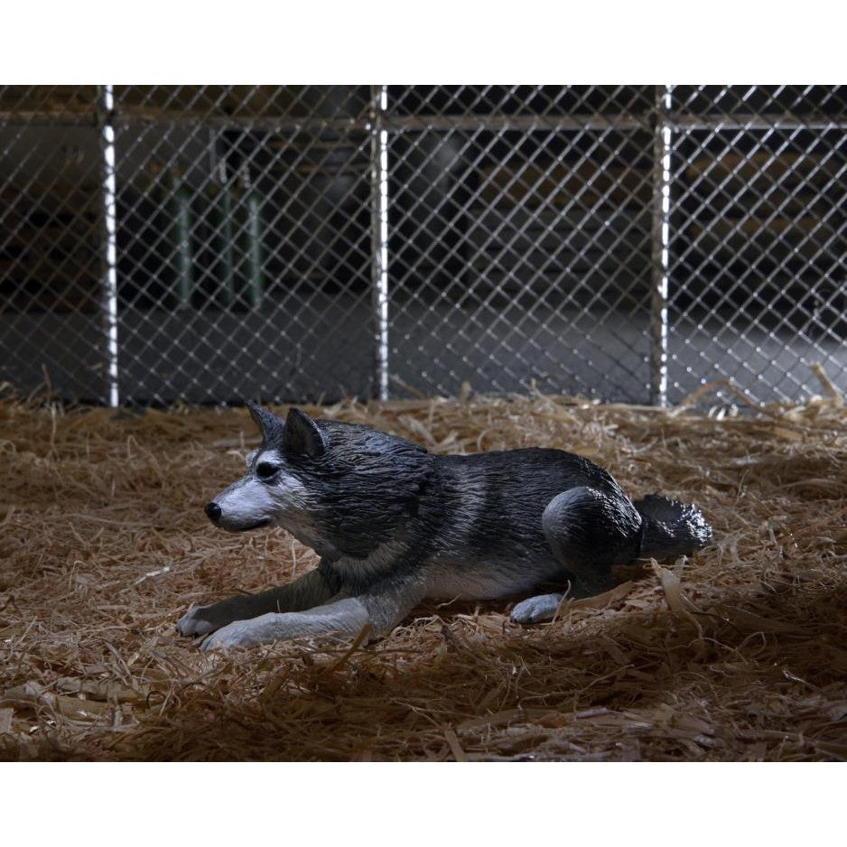 The Thing 1982 Ultimate Dog Creature Set - NECA