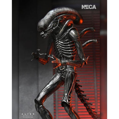 Alien: Romulus Ultimate XX121 Xenomorph Action Figure - NECA