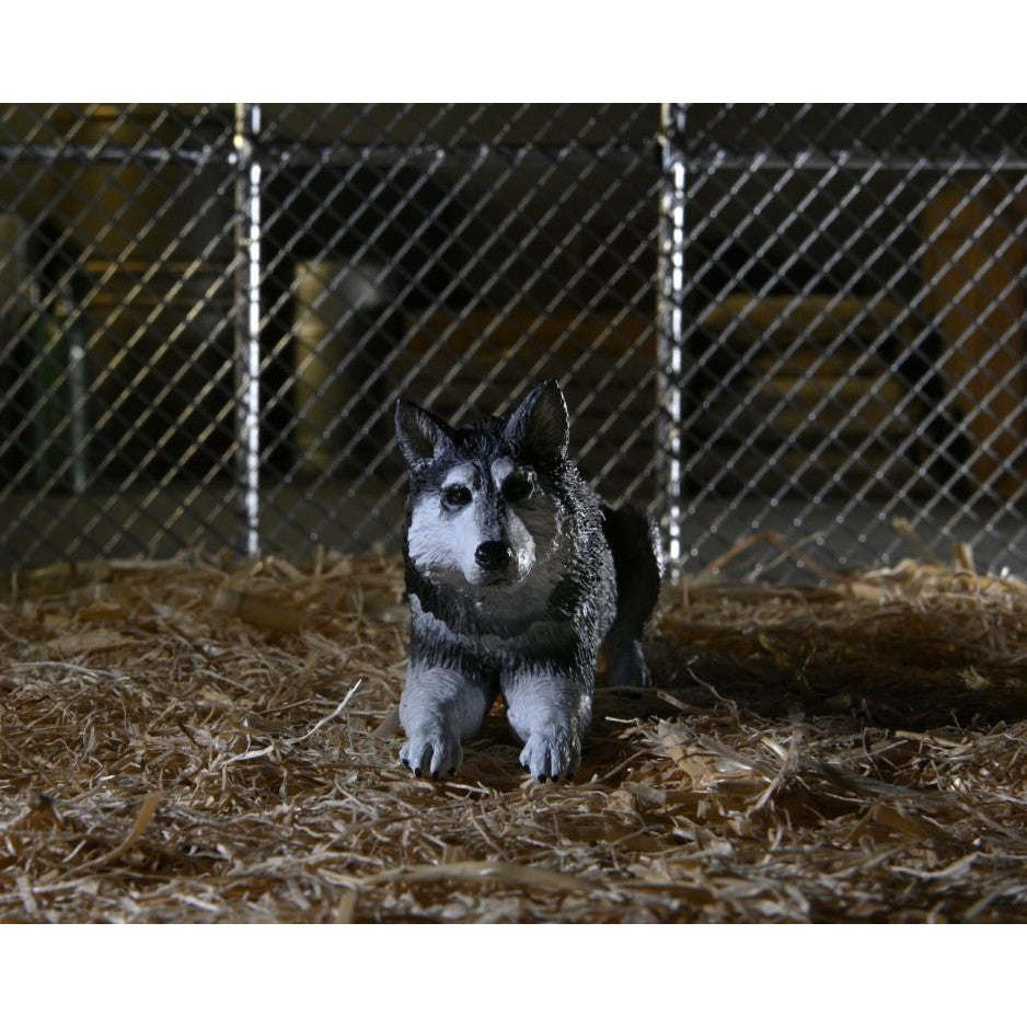 The Thing 1982 Ultimate Dog Creature Set - NECA