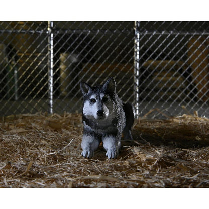 The Thing 1982 Ultimate Dog Creature Set - NECA