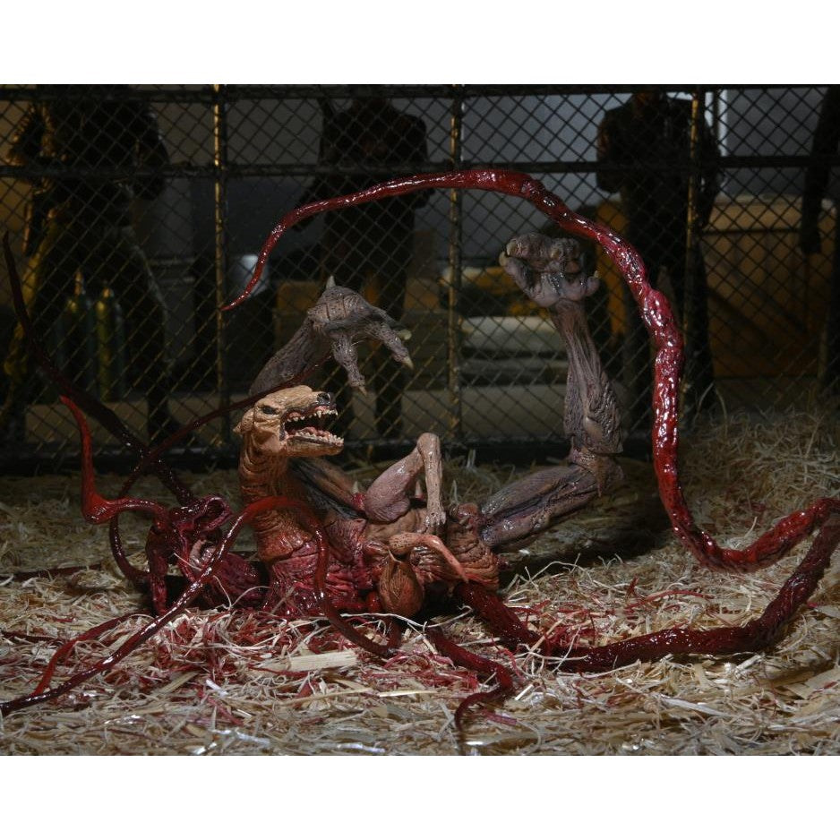 The Thing 1982 Ultimate Dog Creature Set - NECA