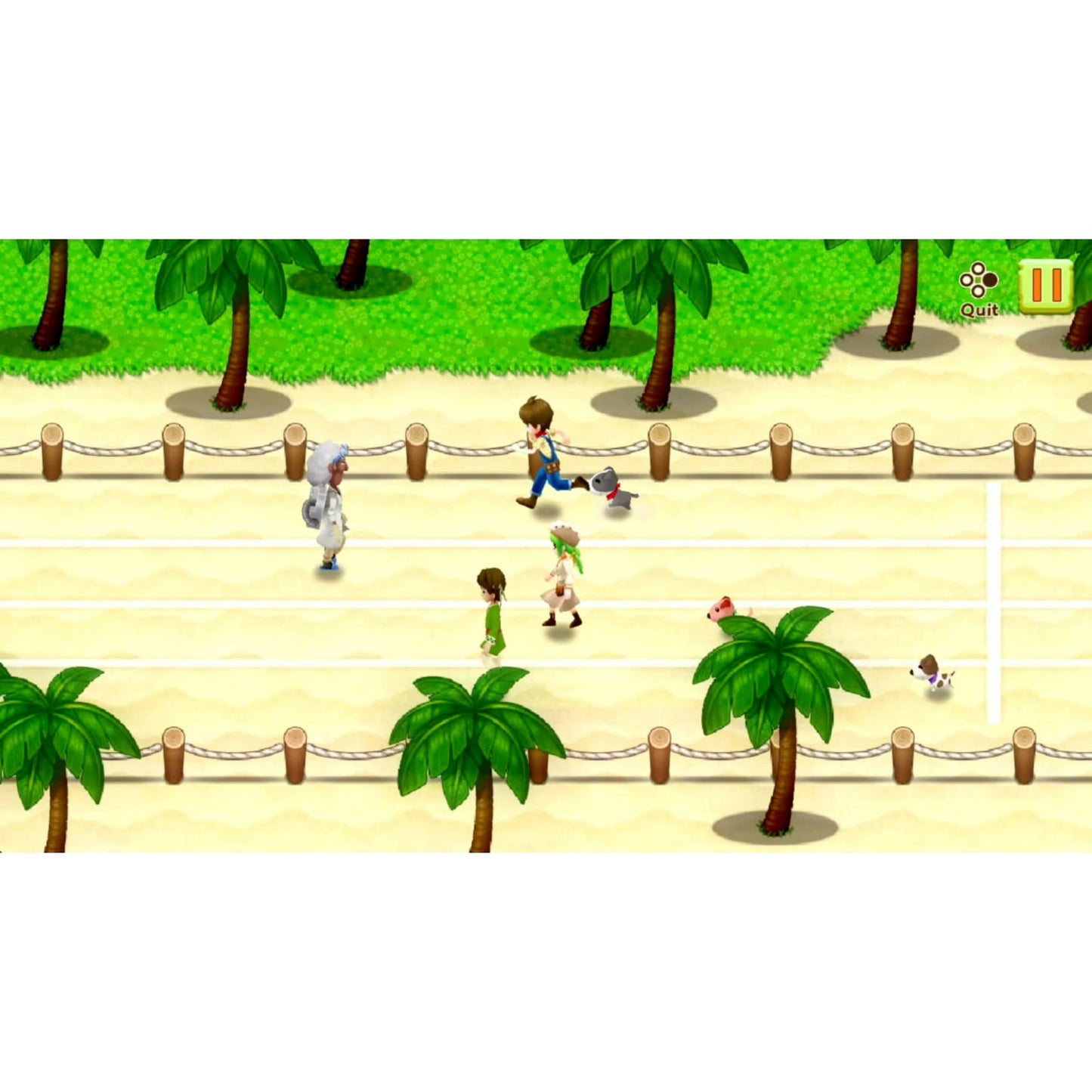 Harvest Moon: Light of Hope Special Edition - Nintendo Switch - Natsume
