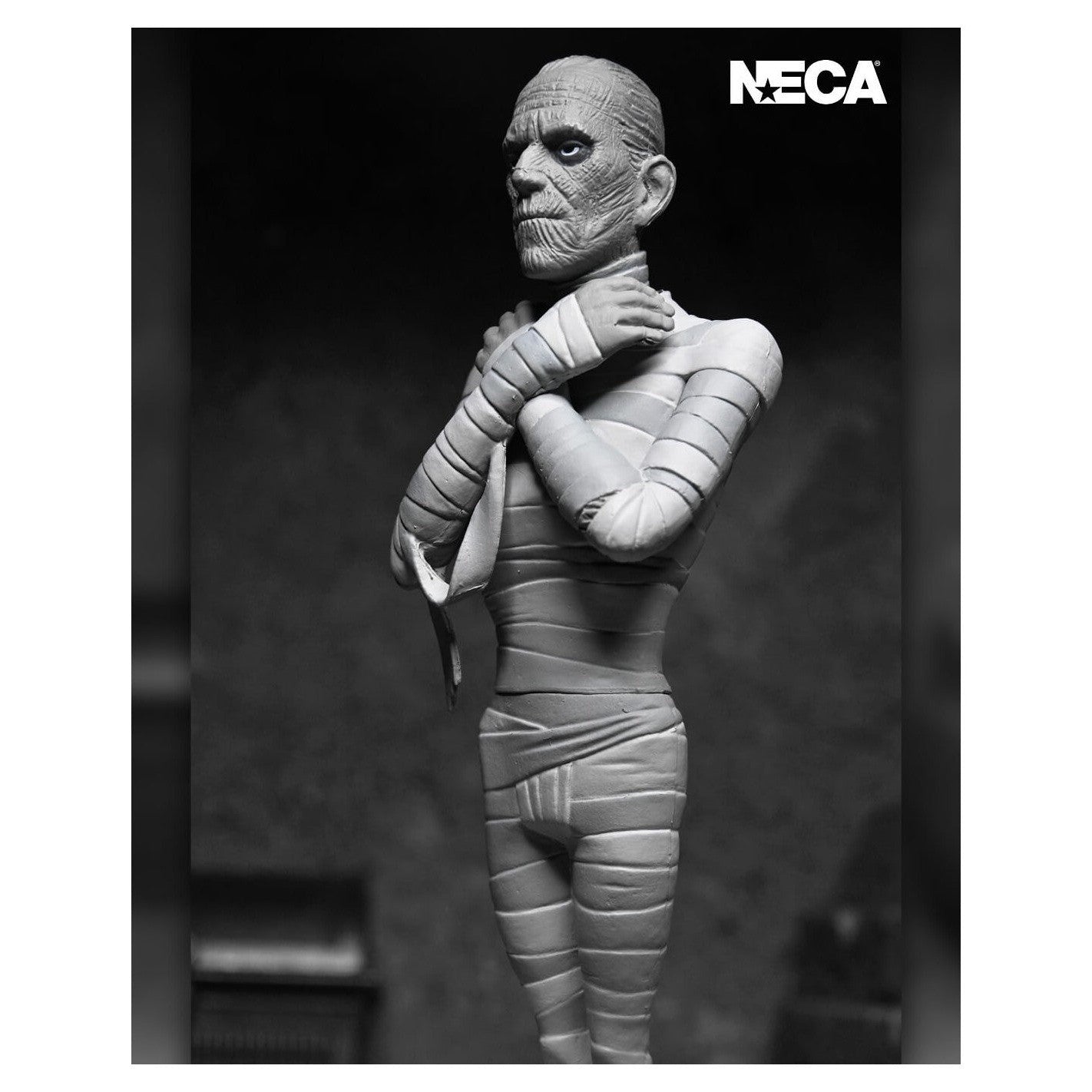 Universal Monsters The Mummy Silver Screen Edition Action Figure - NECA - Toony Terrors