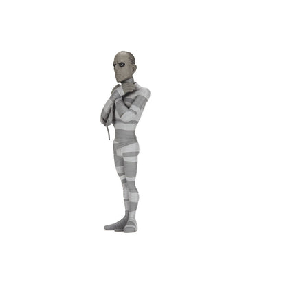 Universal Monsters The Mummy Silver Screen Edition Action Figure - NECA - Toony Terrors