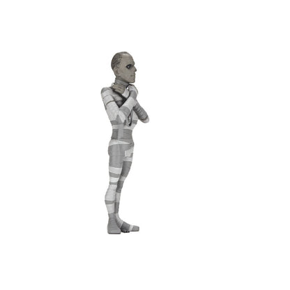 Universal Monsters The Mummy Silver Screen Edition Action Figure - NECA - Toony Terrors