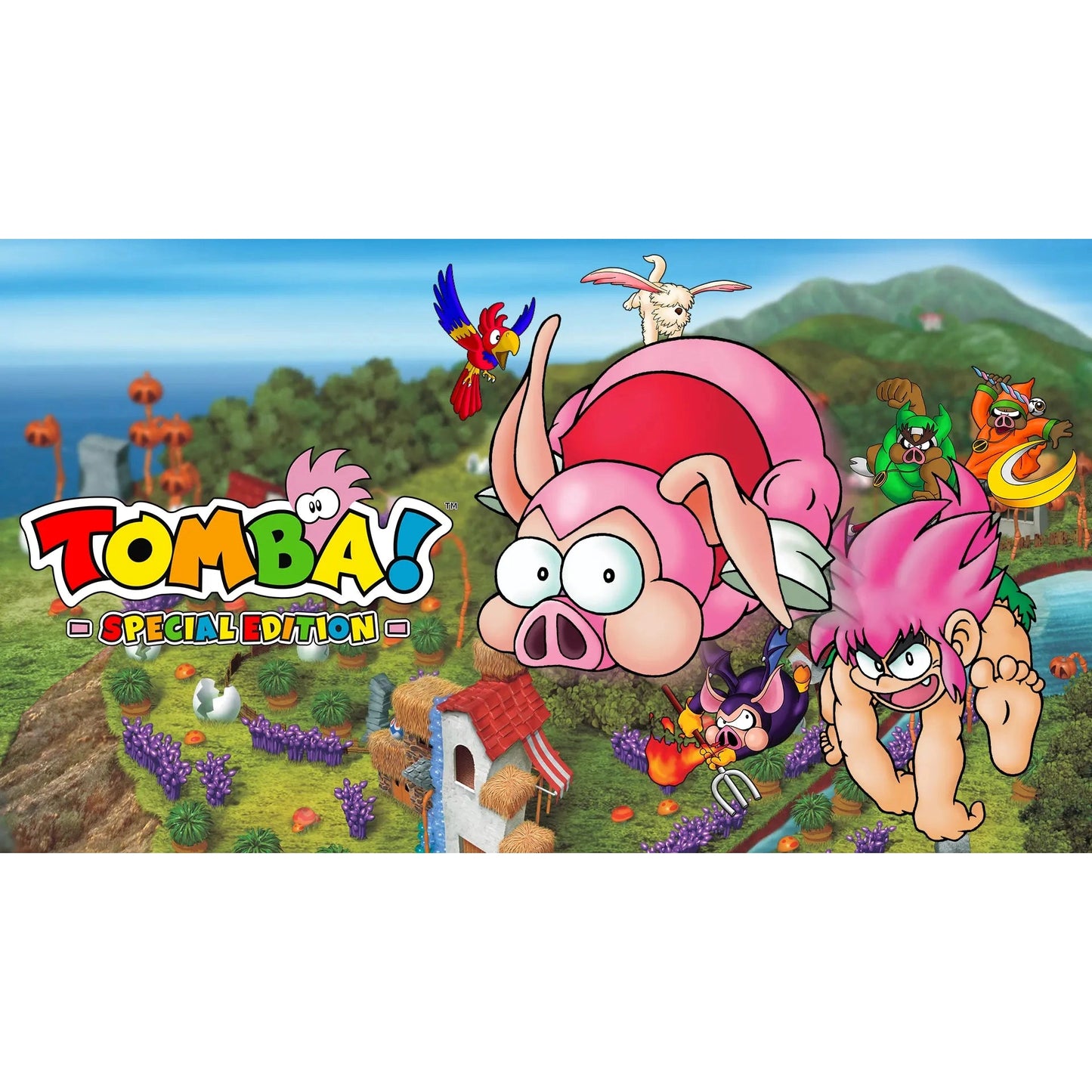 Tomba! Special Edition - Nintendo Switch - Limited Run #245