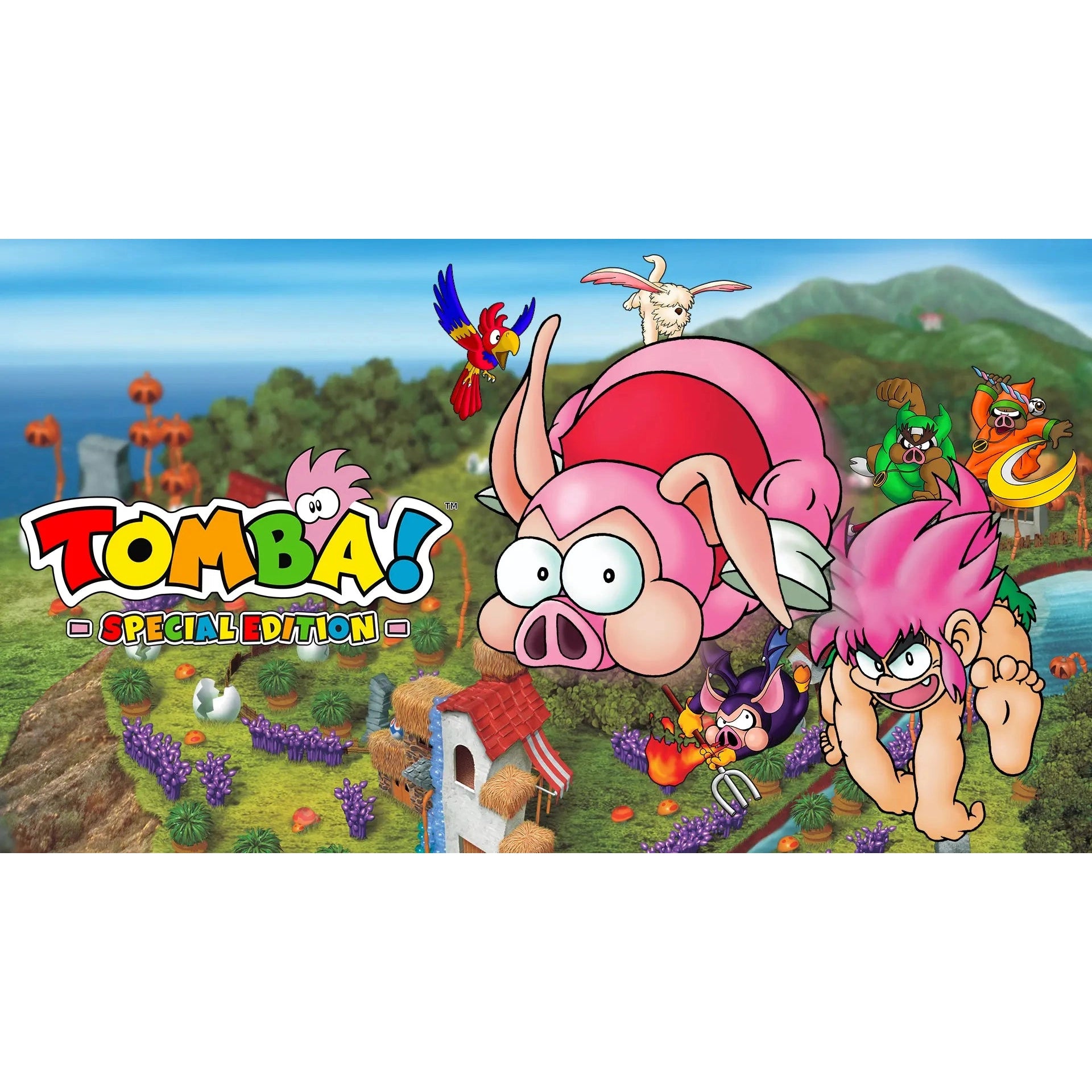 Tomba! Special Edition - Nintendo Switch - Limited Run #245