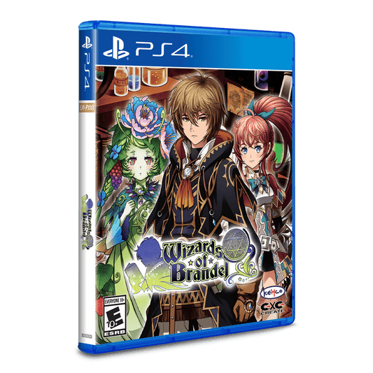 Wizards of Brandel Playstation 4